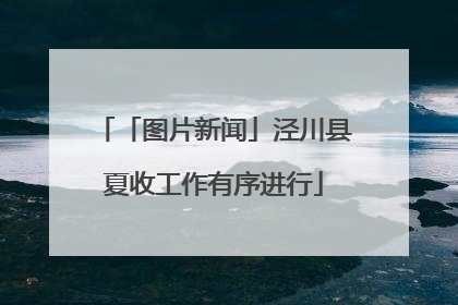 「图片新闻」泾川县夏收工作有序进行