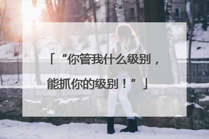 “你管我什么级别,能抓你的级别!”