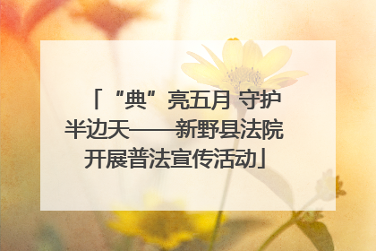 “典”亮五月 守护半边天——新野县法院开展普法宣传活动
