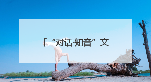 “对话·知音”文明对话国际日主题活动在匈牙利举行
