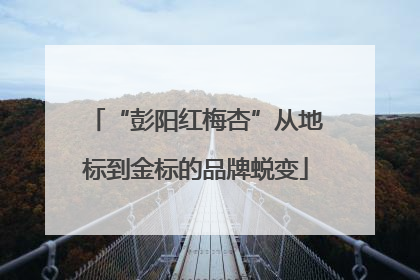 “彭阳红梅杏”从地标到金标的品牌蜕变