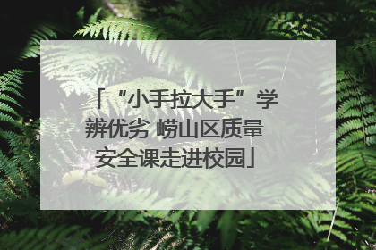 “小手拉大手”学辨优劣 崂山区质量安全课走进校园