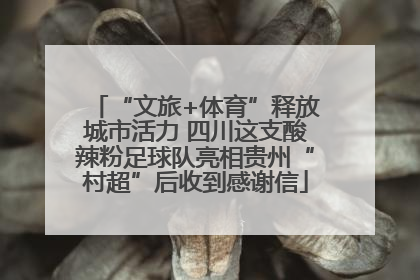 “文旅+体育”释放城市活力 四川这支酸辣粉足球队亮相贵州“村超”后收到感谢信