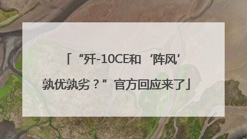 “歼-10CE和‘阵风’孰优孰劣？”官方回应来了