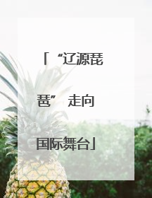 “辽源琵琶” 走向国际舞台