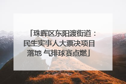 珠晖区东阳渡街道：民生实事人大票决项目落地 气排球赛点燃