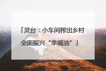灵台：小车间榨出乡村全面振兴“幸福油”