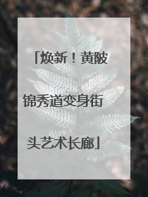 焕新！黄陂锦秀道变身街头艺术长廊