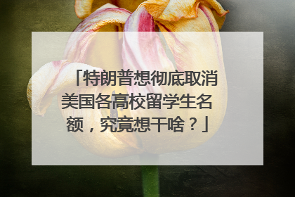 特朗普想彻底取消美国各高校留学生名额，究竟想干啥？
