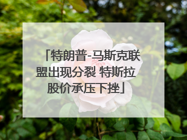 特朗普-马斯克联盟出现分裂 特斯拉股价承压下挫