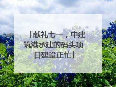 献礼七一，中建筑港承建的码头项目建设正忙