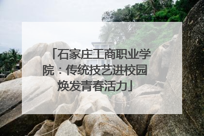 石家庄工商职业学院：传统技艺进校园焕发青春活力
