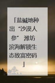 盐碱地种出“沙漠人参” 潍坊滨海解锁生态致富密码