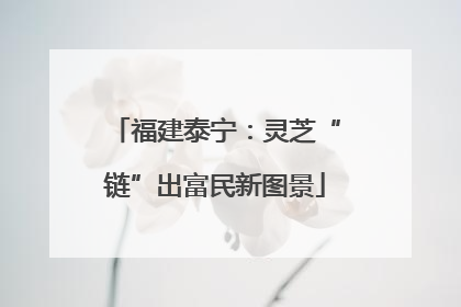 福建泰宁：灵芝“链”出富民新图景