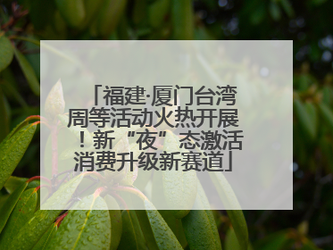 福建·厦门台湾周等活动火热开展！新“夜”态激活消费升级新赛道
