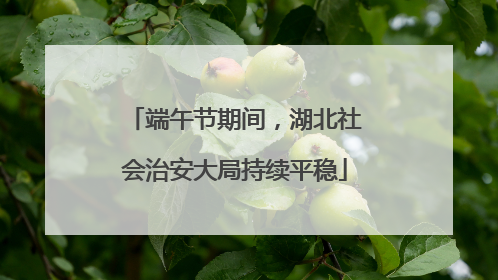 端午节期间，湖北社会治安大局持续平稳