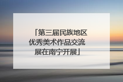 第三届民族地区优秀美术作品交流展在南宁开展
