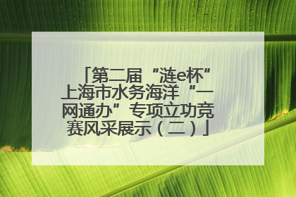 第二届“涟e杯”上海市水务海洋“一网通办”专项立功竞赛风采展示（二）