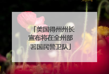 美国得州州长宣布将在全州部署国民警卫队