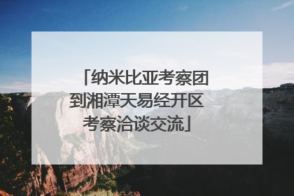 纳米比亚考察团到湘潭天易经开区考察洽谈交流