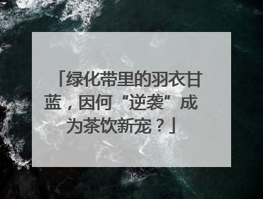绿化带里的羽衣甘蓝，因何“逆袭”成为茶饮新宠？