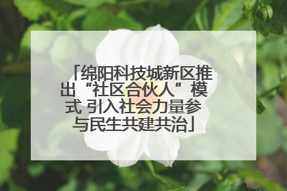 绵阳科技城新区推出“社区合伙人”模式 引入社会力量参与民生共建共治