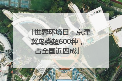 世界环境日：京津冀鸟类超600种，占全国近四成