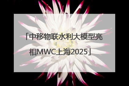 中移物联水利大模型亮相MWC上海2025