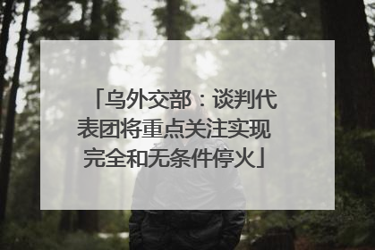 乌外交部：谈判代表团将重点关注实现完全和无条件停火