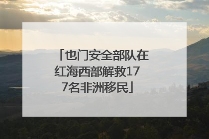 也门安全部队在红海西部解救177名非洲移民