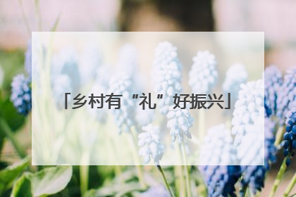 乡村有“礼”好振兴