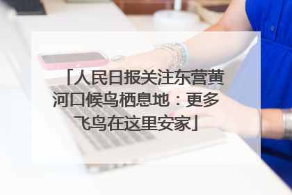人民日报关注东营黄河口候鸟栖息地：更多飞鸟在这里安家
