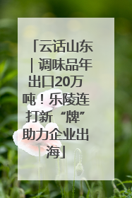 云话山东｜调味品年出口20万吨！乐陵连打新“牌”助力企业出海