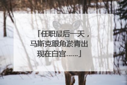 任职最后一天，马斯克眼角淤青出现在白宫……