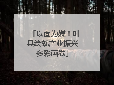 以面为媒！叶县绘就产业振兴多彩画卷