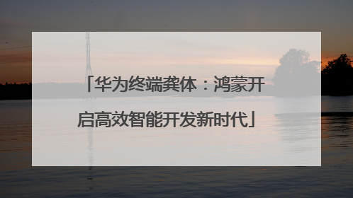 华为终端龚体：鸿蒙开启高效智能开发新时代
