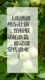 南通通州东社镇：馆校联动拓新篇，移动课堂传忠孝