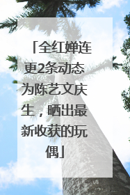 全红婵连更2条动态为陈艺文庆生，晒出最新收获的玩偶