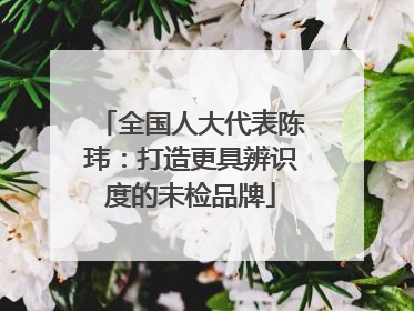 全国人大代表陈玮：打造更具辨识度的未检品牌