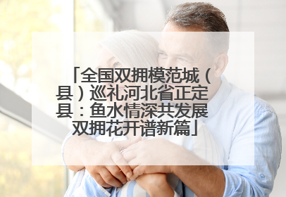 全国双拥模范城（县）巡礼河北省正定县：鱼水情深共发展 双拥花开谱新篇