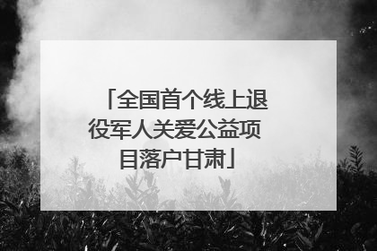全国首个线上退役军人关爱公益项目落户甘肃