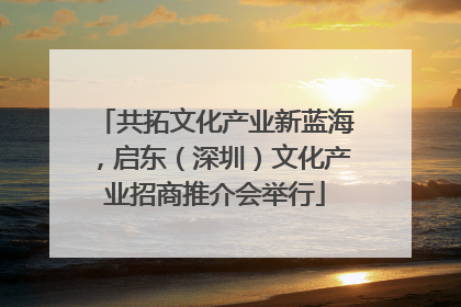 共拓文化产业新蓝海，启东（深圳）文化产业招商推介会举行