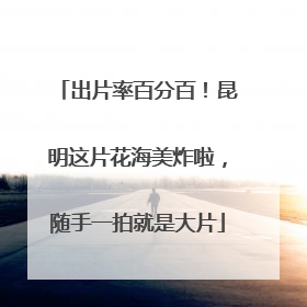 出片率百分百！昆明这片花海美炸啦，随手一拍就是大片