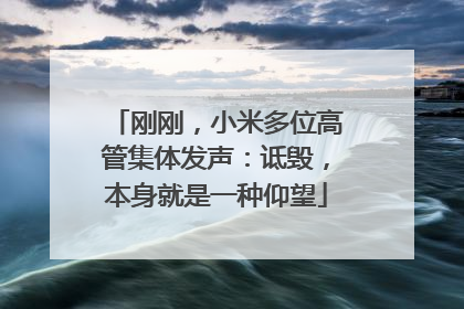 刚刚，小米多位高管集体发声：诋毁，本身就是一种仰望
