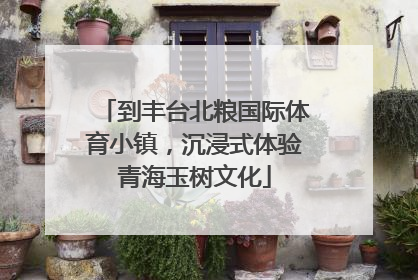 到丰台北粮国际体育小镇，沉浸式体验青海玉树文化