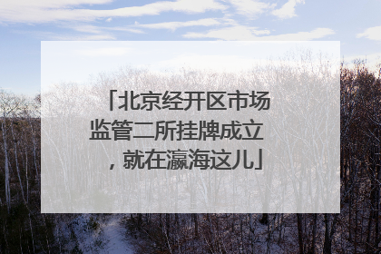 北京经开区市场监管二所挂牌成立，就在瀛海这儿