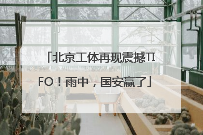 北京工体再现震撼TIFO！雨中，国安赢了