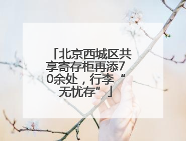 北京西城区共享寄存柜再添70余处，行李“无忧存”