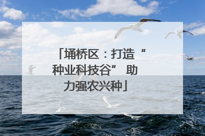 埇桥区：打造“种业科技谷” 助力强农兴种