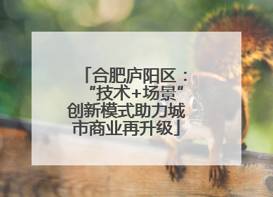 合肥庐阳区：“技术+场景”创新模式助力城市商业再升级